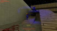 CS 1.6 with servers