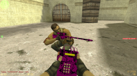  CS 1.6 Pulse Edition