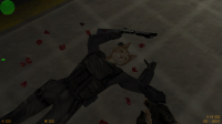 CS 1.6 Cat Edition