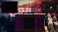 CS 1.6 Elegant Force