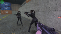 CS 1.6 Elegant Force