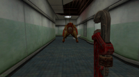 Half-Life Opposing Force