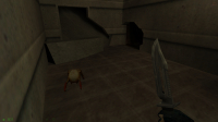 Half-Life Opposing Force