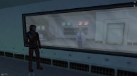 Half-Life Decay